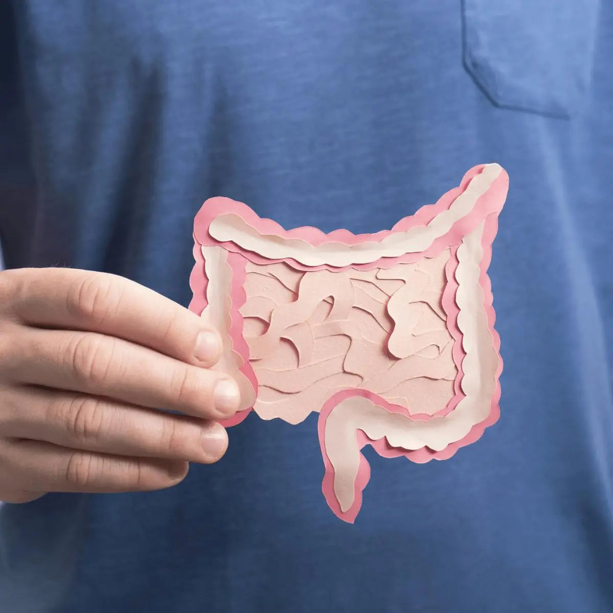 An image of Stomach and Acid Reflux Medications by Towngate Pharmacy